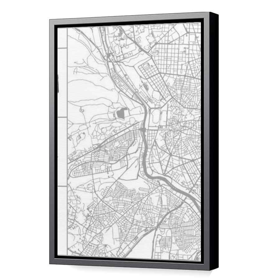 Thumbnail for Canvas - Black Floating Frame