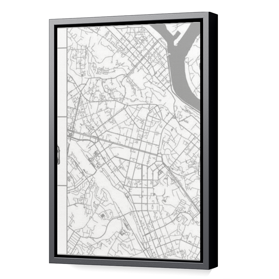Thumbnail for Canvas - Black Floating Frame