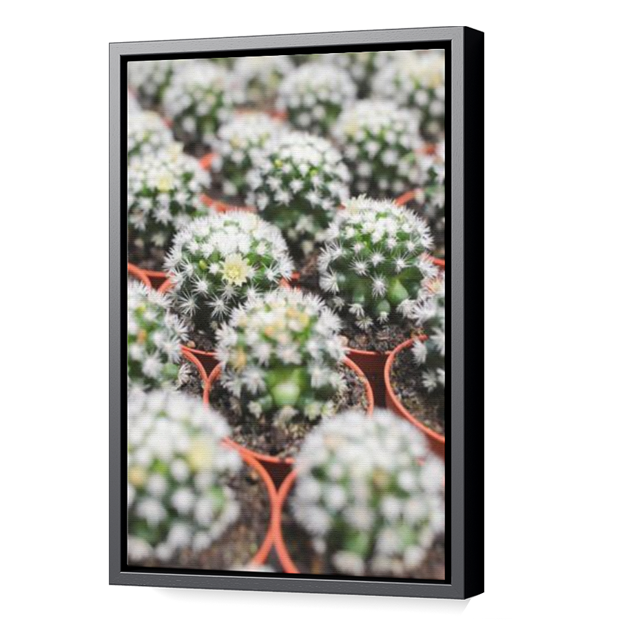 Thumbnail for Canvas - Black Floating Frame