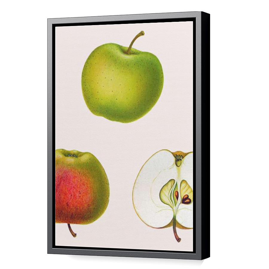 Thumbnail for Canvas - Black Floating Frame