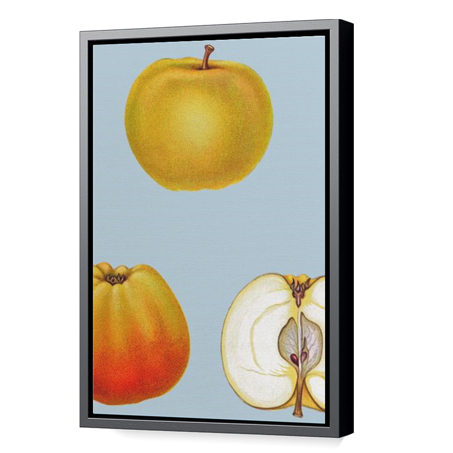 Thumbnail for Canvas - Black Floating Frame