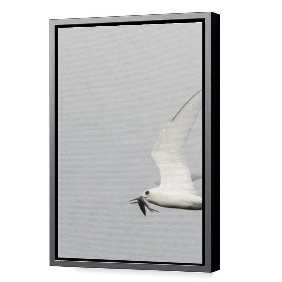 Thumbnail for Canvas - Black Floating Frame