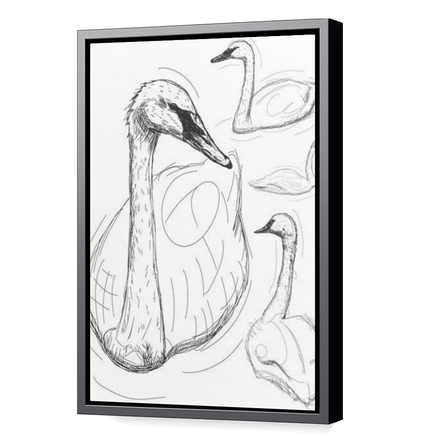 Thumbnail for Canvas - Black Floating Frame