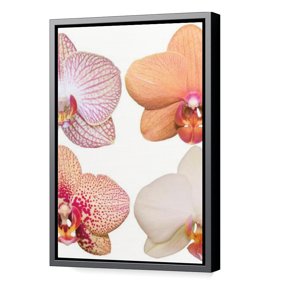 Thumbnail for Canvas - Black Floating Frame