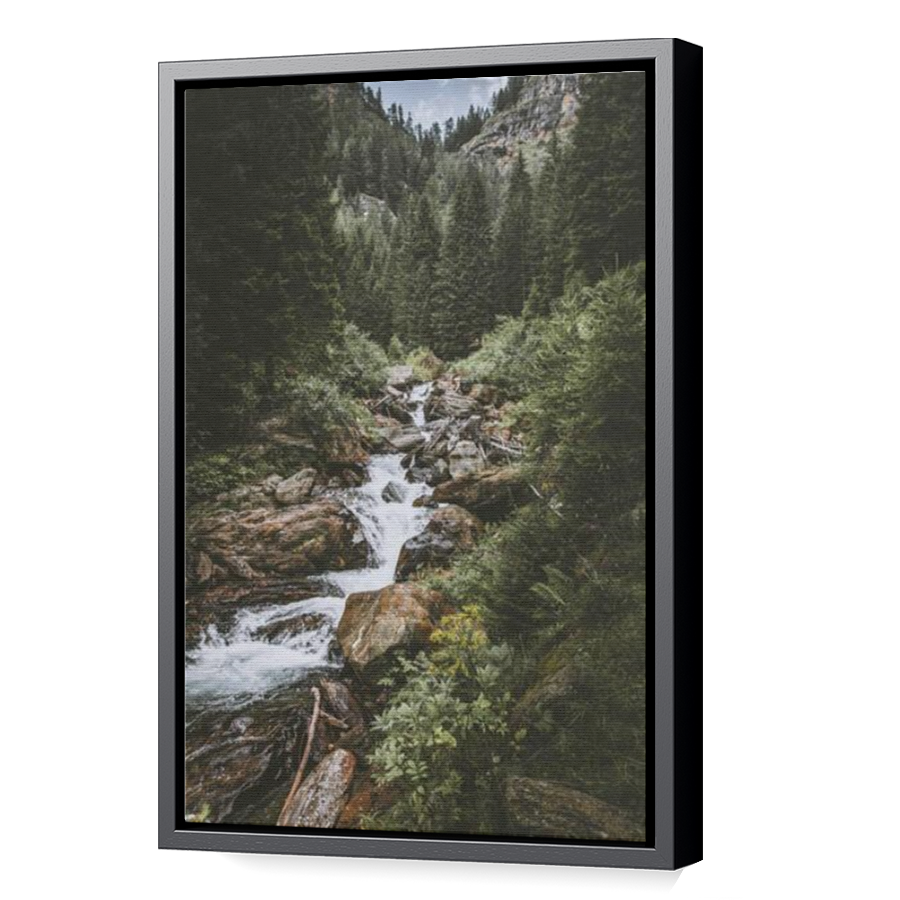 Thumbnail for Canvas - Black Floating Frame