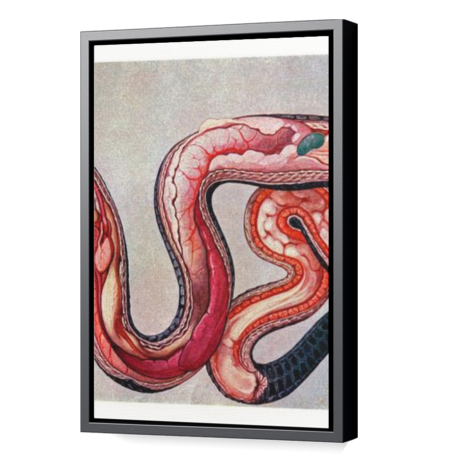Thumbnail for Canvas - Black Floating Frame