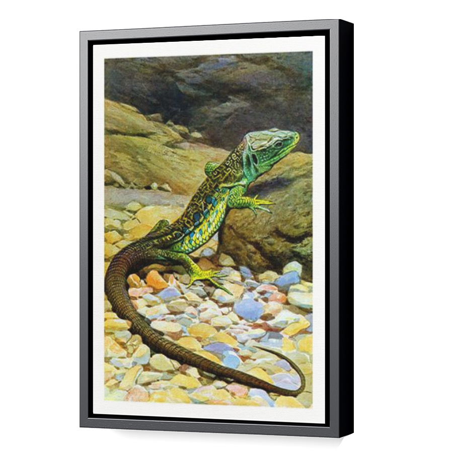 Thumbnail for Canvas - Black Floating Frame