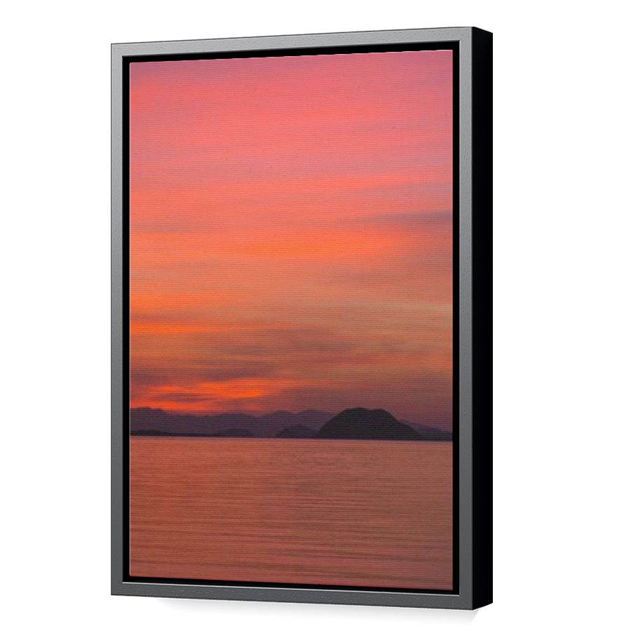 Thumbnail for Canvas - Black Floating Frame