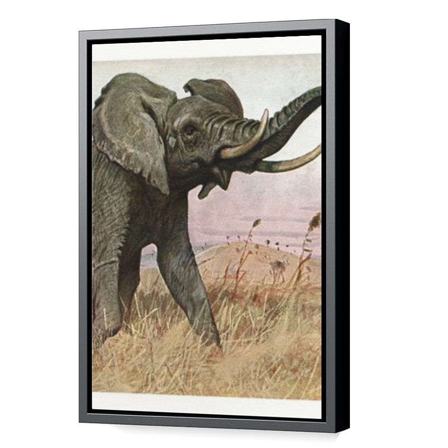 Thumbnail for Canvas - Black Floating Frame