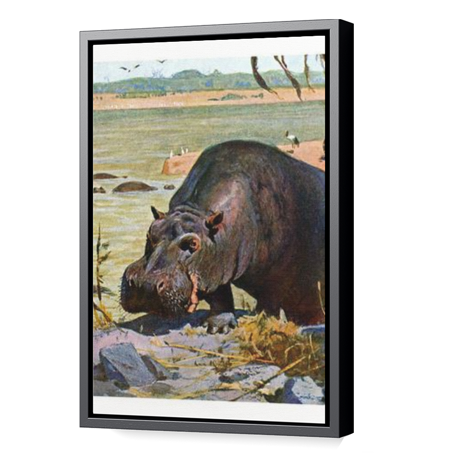 Thumbnail for Canvas - Black Floating Frame