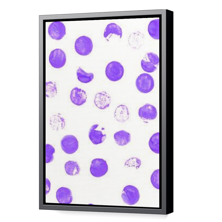 Thumbnail for Canvas - Black Floating Frame