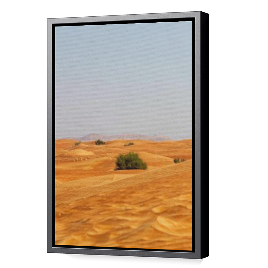 Thumbnail for Canvas - Black Floating Frame