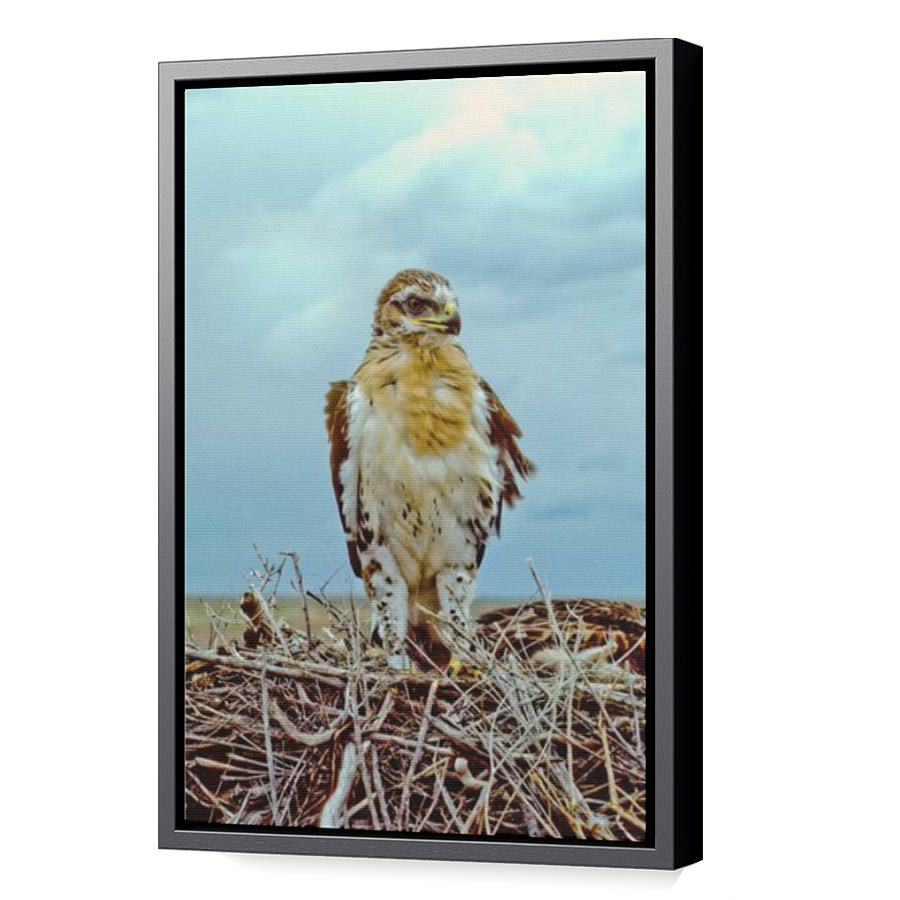 Thumbnail for Canvas - Black Floating Frame
