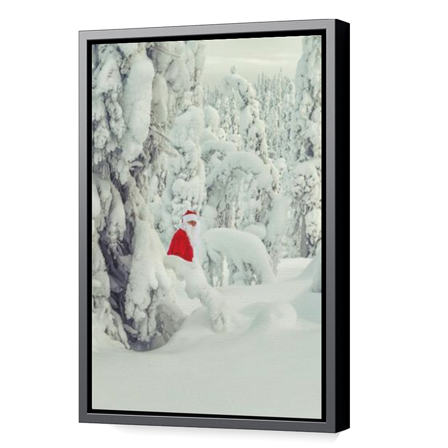 Thumbnail for Canvas - Black Floating Frame