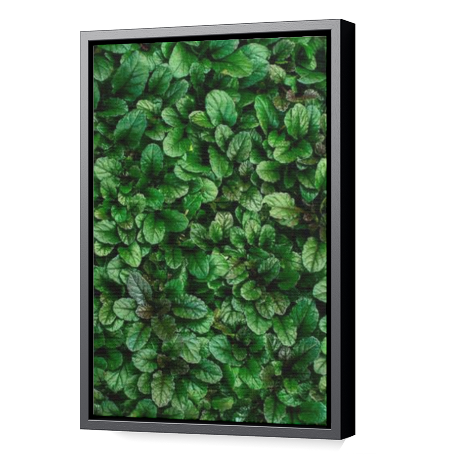 Thumbnail for Canvas - Black Floating Frame