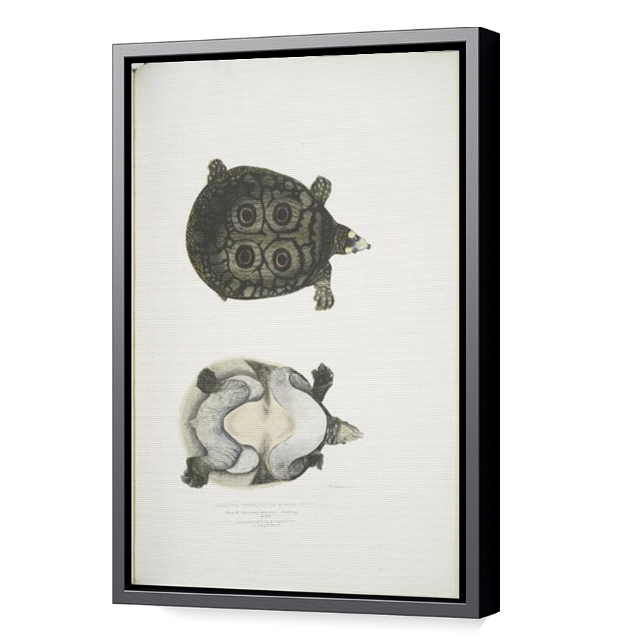 Thumbnail for Canvas - Black Floating Frame
