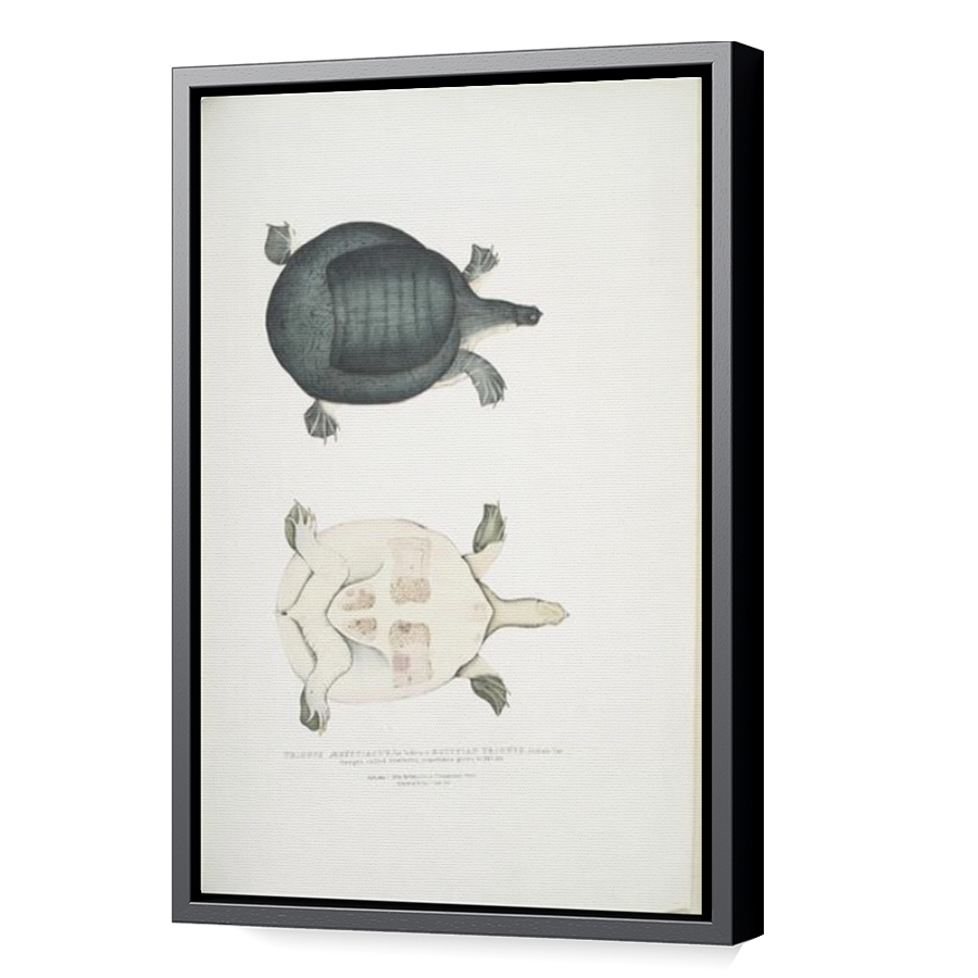 Thumbnail for Canvas - Black Floating Frame