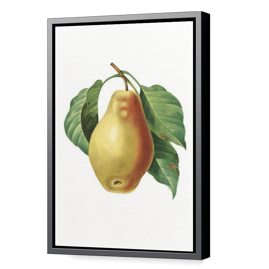 Thumbnail for Canvas - Black Floating Frame