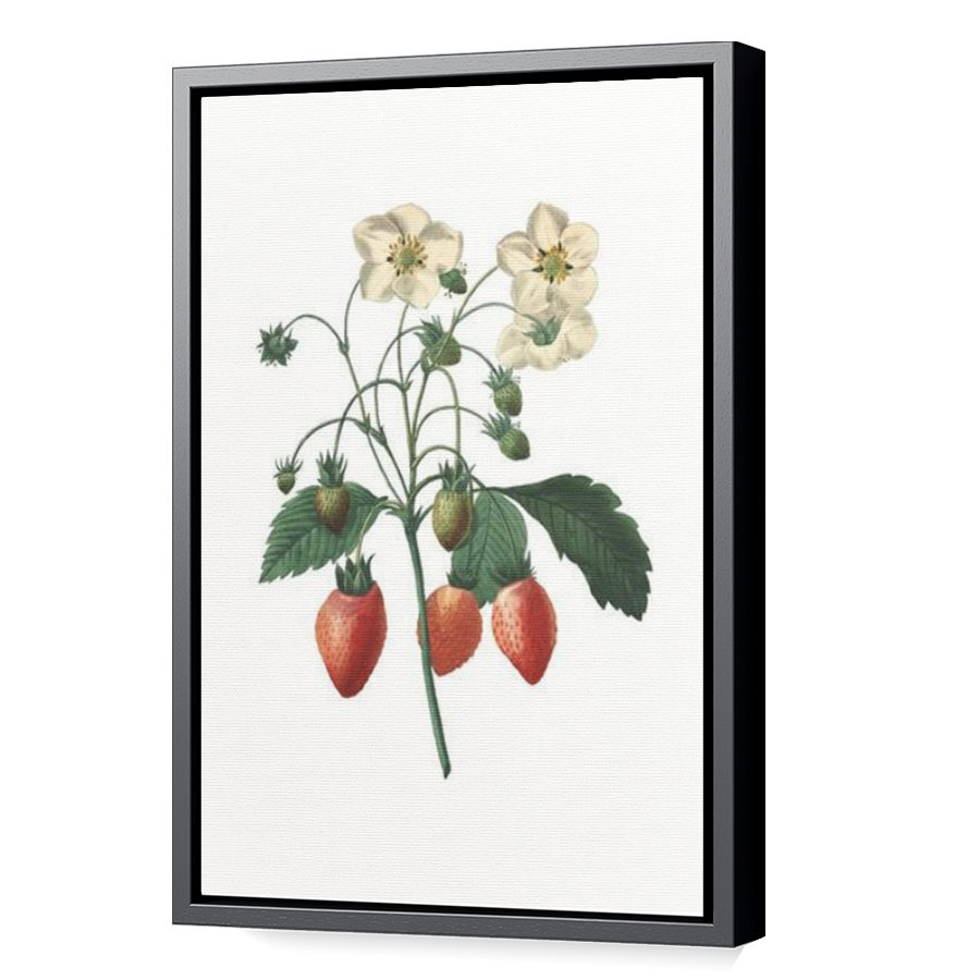 Thumbnail for Canvas - Black Floating Frame