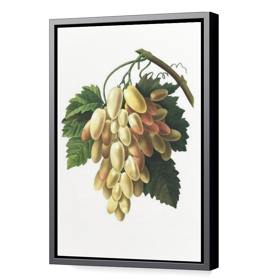 Thumbnail for Canvas - Black Floating Frame