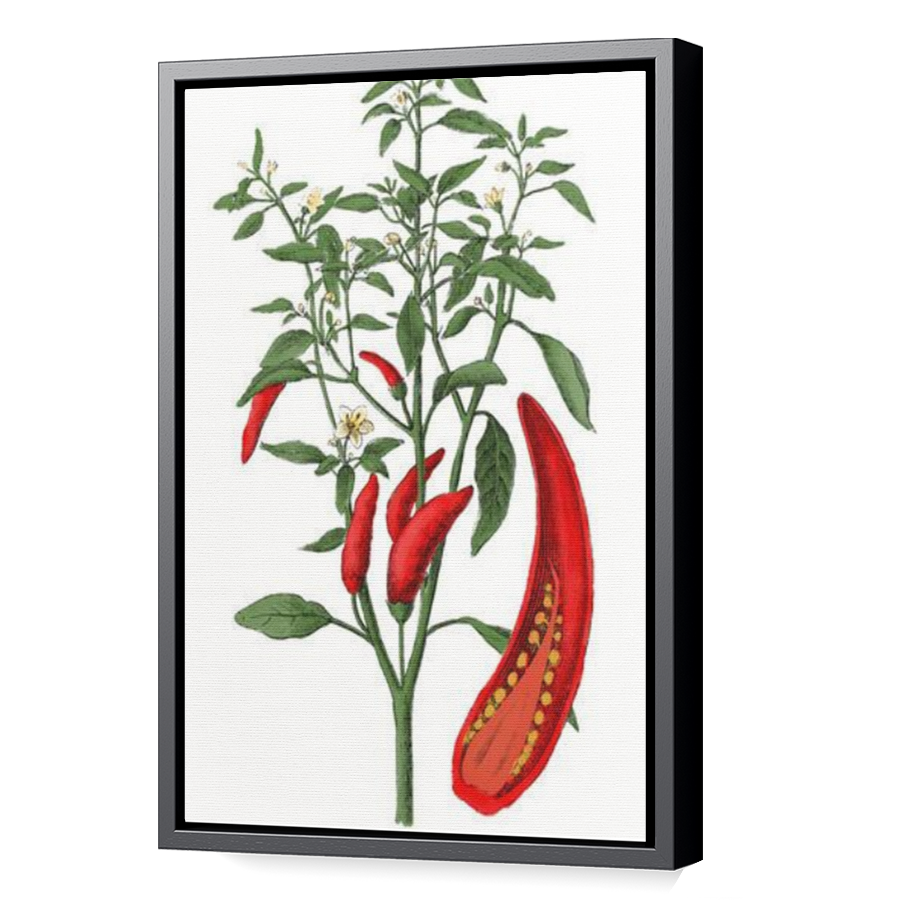 Thumbnail for Canvas - Black Floating Frame