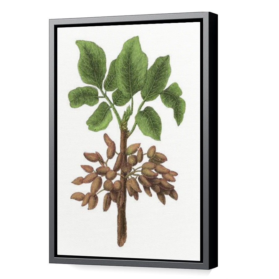 Thumbnail for Canvas - Black Floating Frame