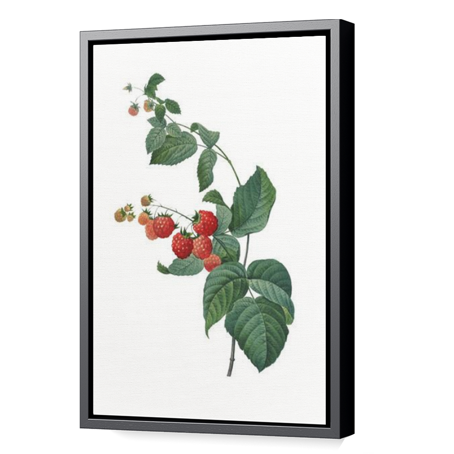 Thumbnail for Canvas - Black Floating Frame