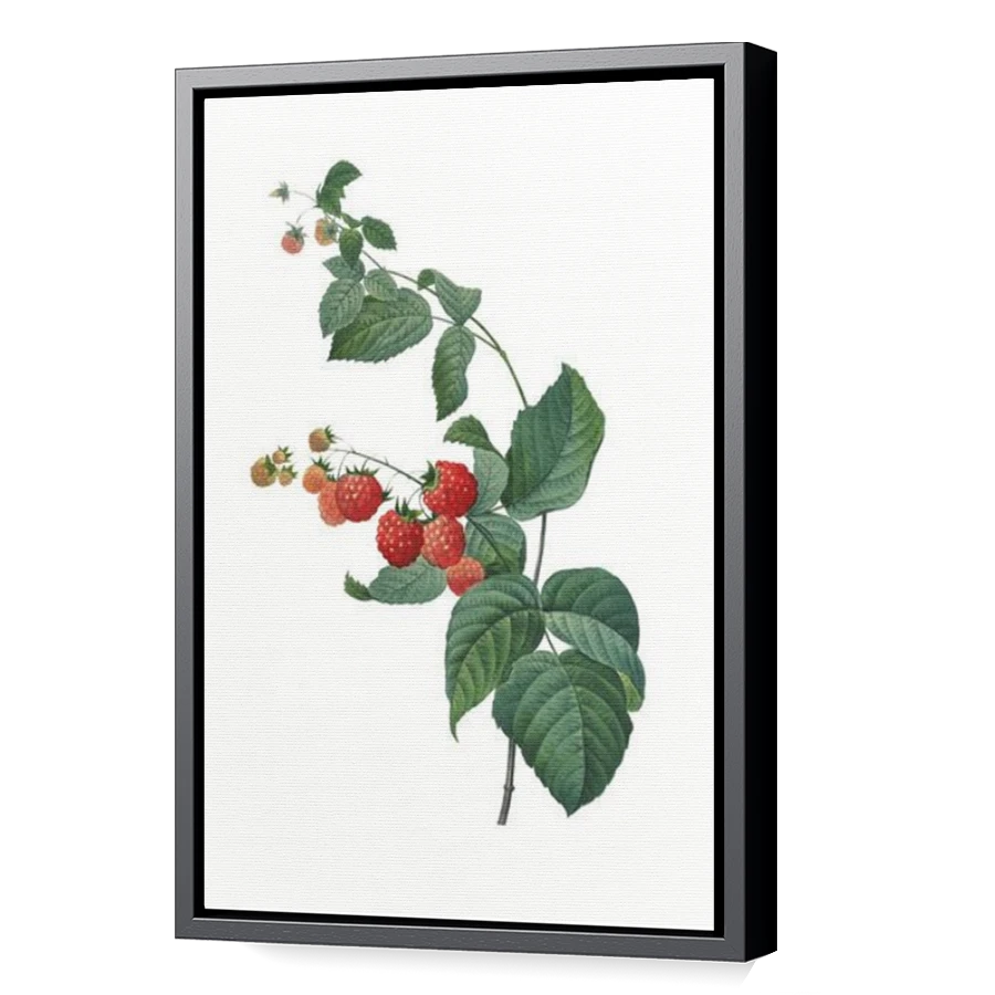 Thumbnail for Canvas - Black Floating Frame