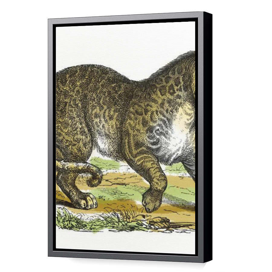 Thumbnail for Canvas - Black Floating Frame