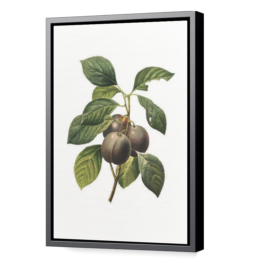 Thumbnail for Canvas - Black Floating Frame