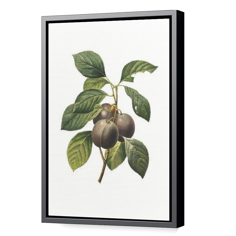 Thumbnail for Canvas - Black Floating Frame