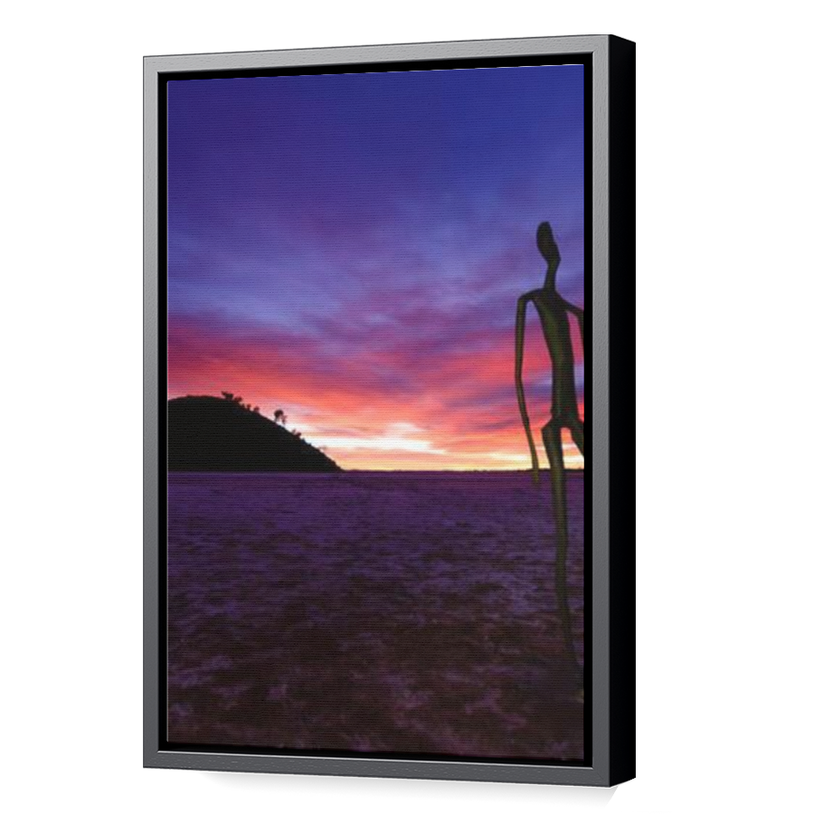 Thumbnail for Canvas - Black Floating Frame