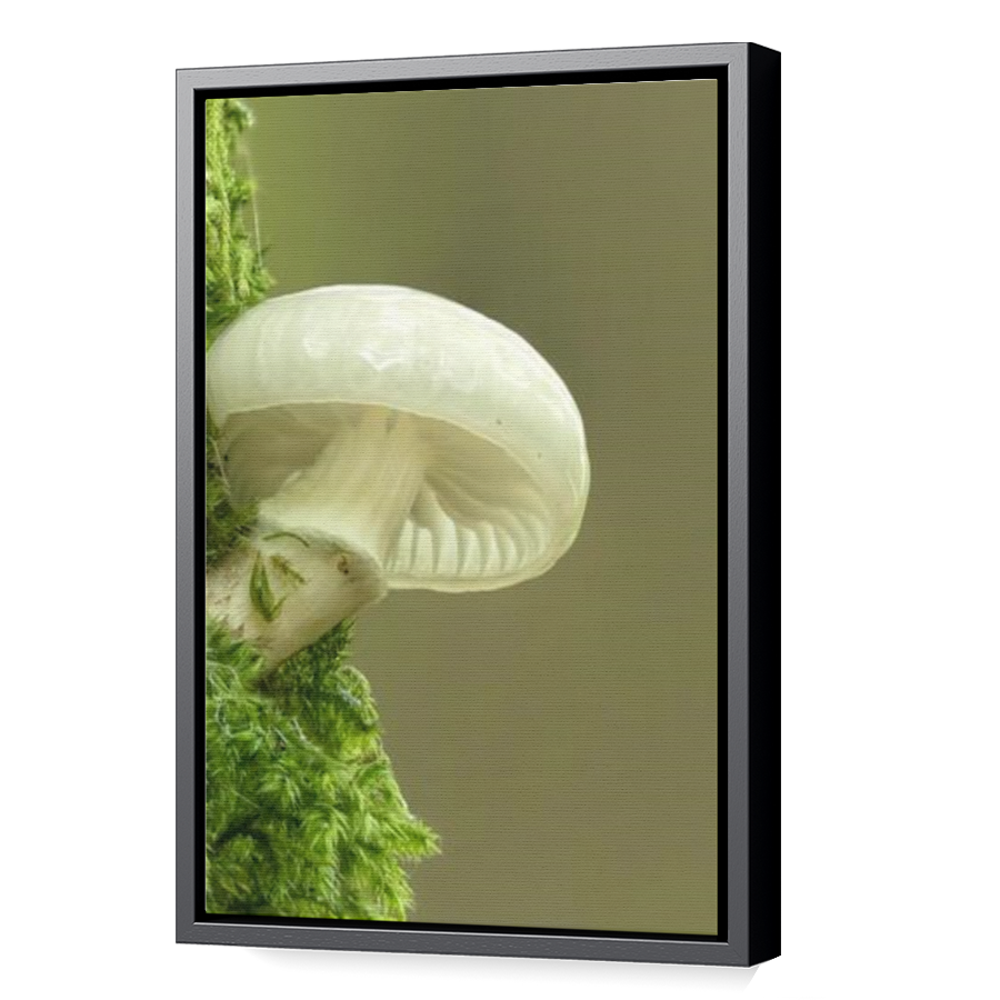 Thumbnail for Canvas - Black Floating Frame