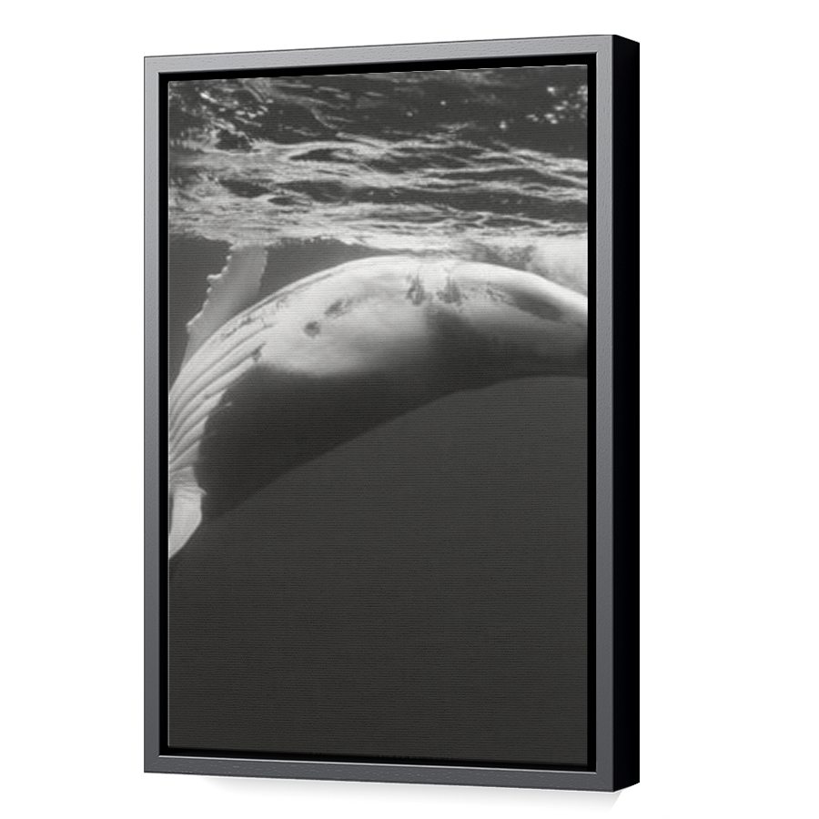 Thumbnail for Canvas - Black Floating Frame