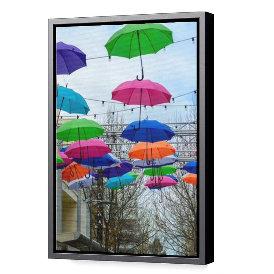 Thumbnail for Canvas - Black Floating Frame