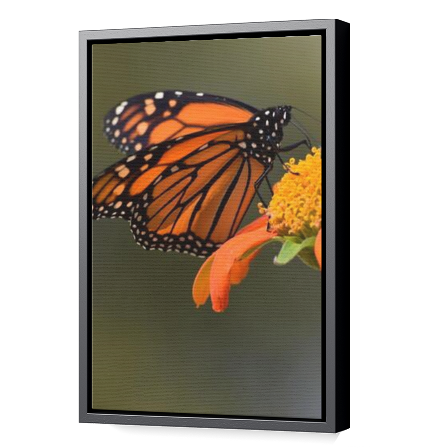 Thumbnail for Canvas - Black Floating Frame