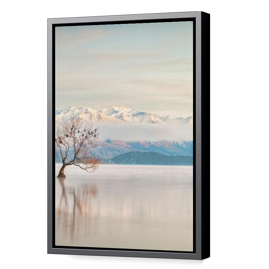 Thumbnail for Canvas - Black Floating Frame