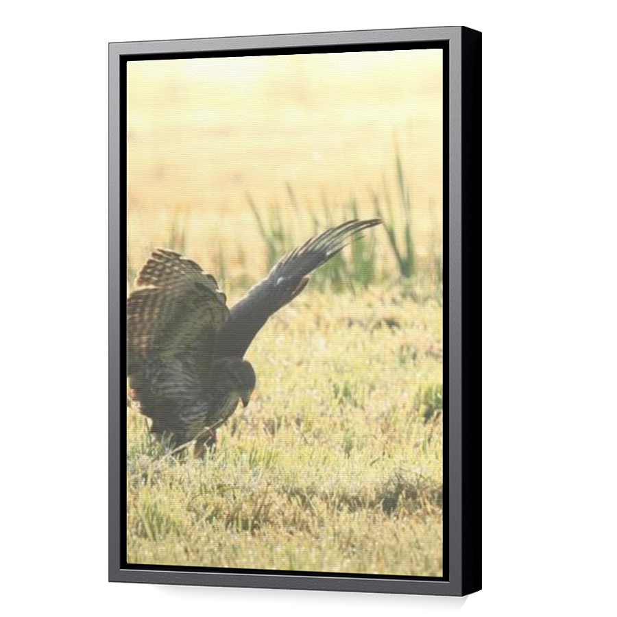 Thumbnail for Canvas - Black Floating Frame