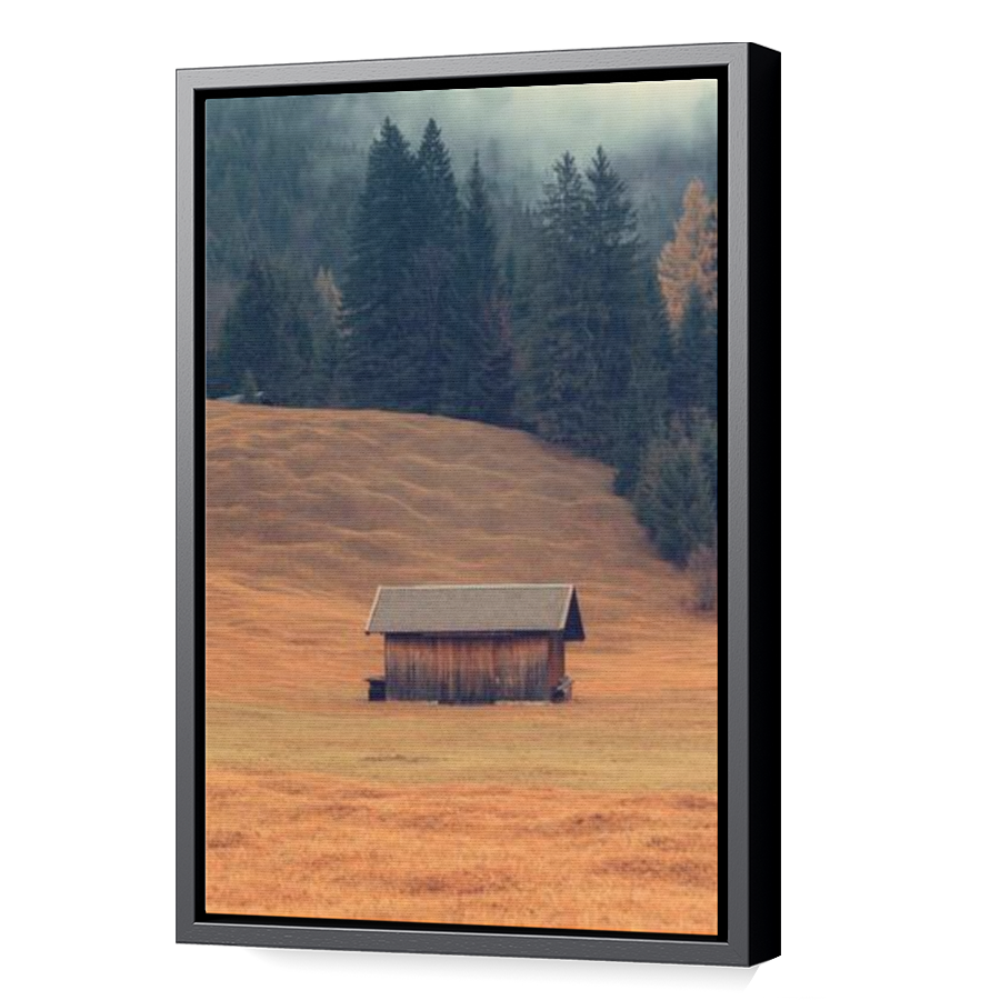 Thumbnail for Canvas - Black Floating Frame