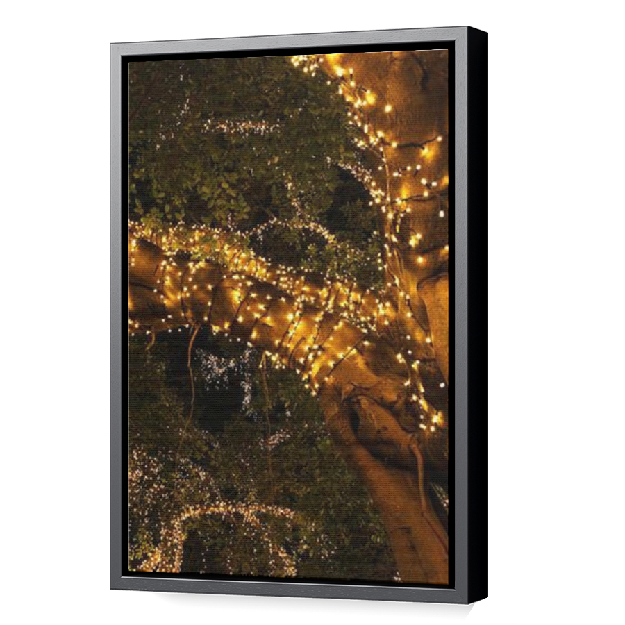 Thumbnail for Canvas - Black Floating Frame