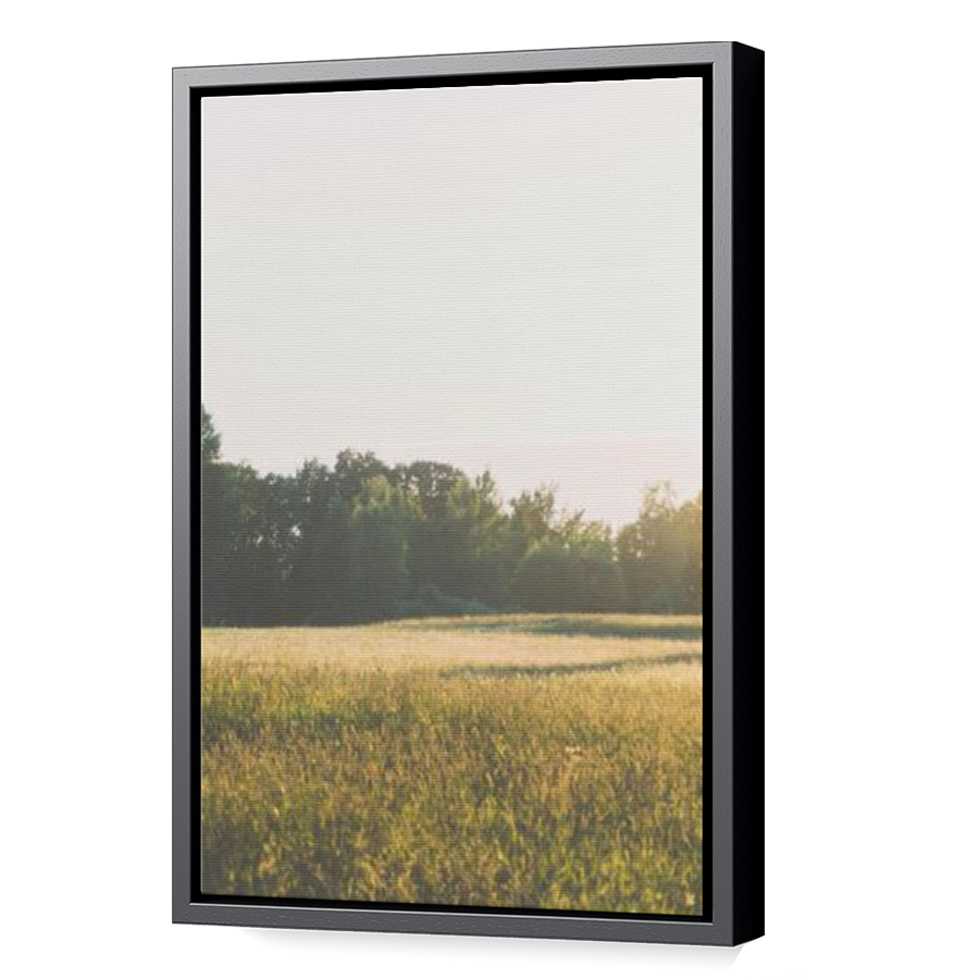 Thumbnail for Canvas - Black Floating Frame