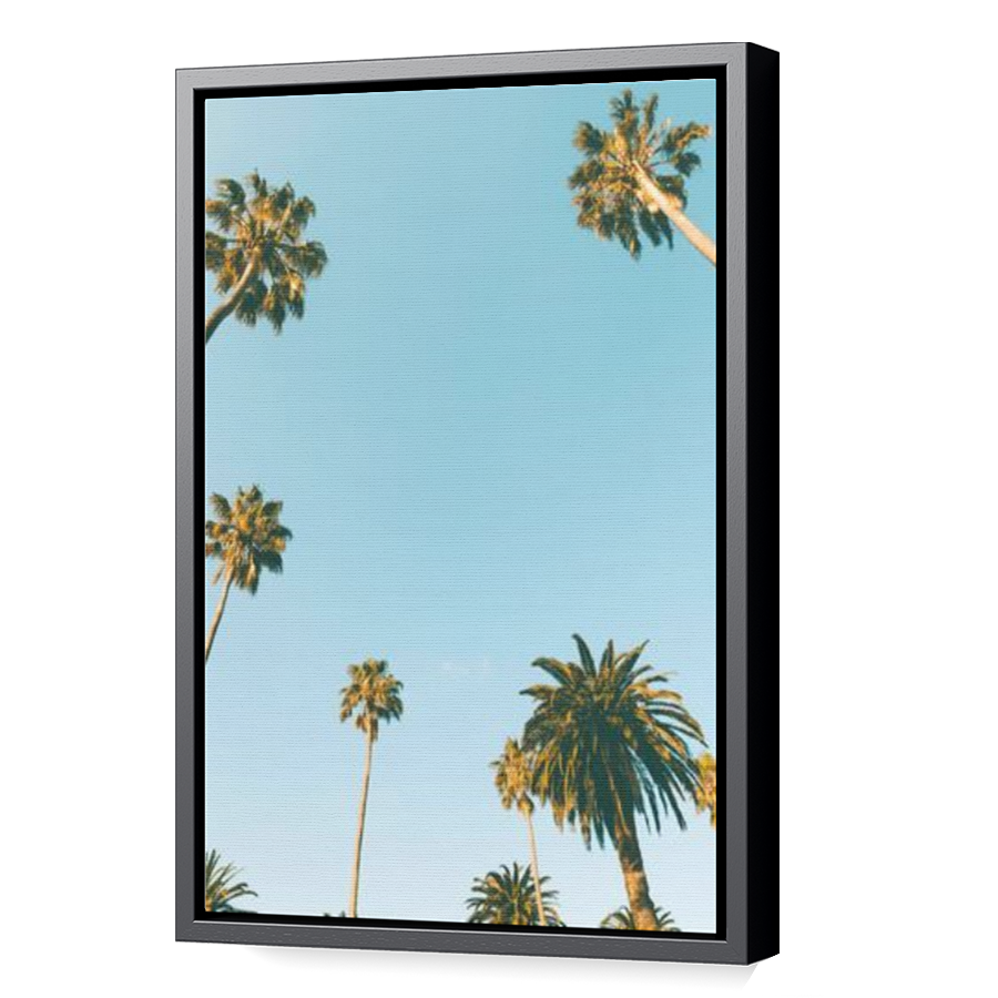 Thumbnail for Canvas - Black Floating Frame