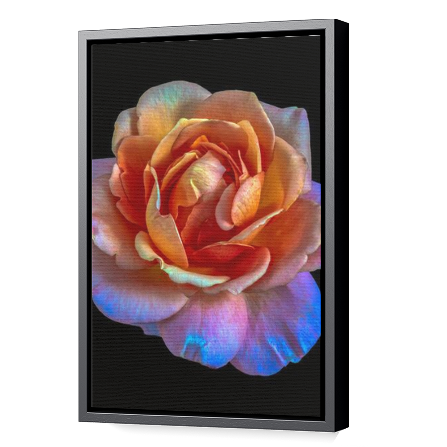 Thumbnail for Canvas - Black Floating Frame