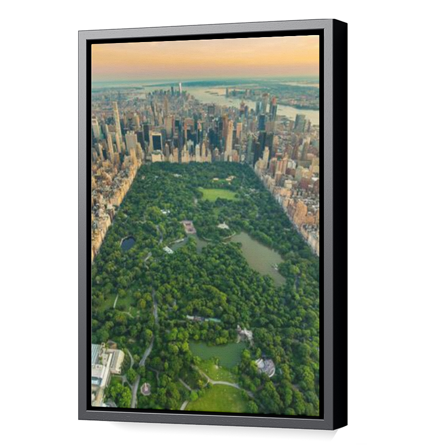 Thumbnail for Canvas - Black Floating Frame