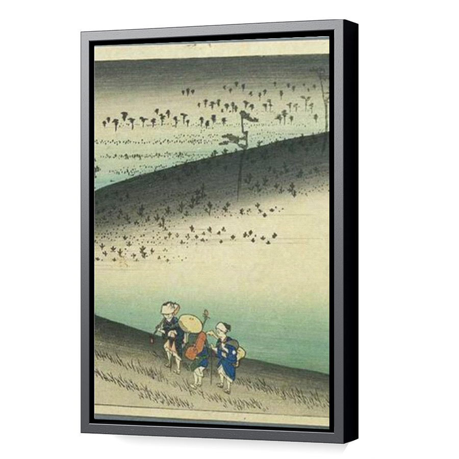 Thumbnail for Canvas - Black Floating Frame