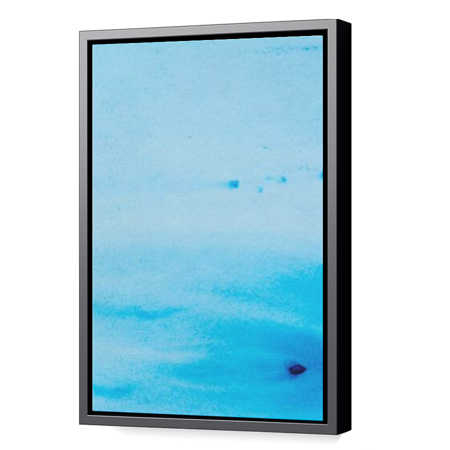 Thumbnail for Canvas - Black Floating Frame