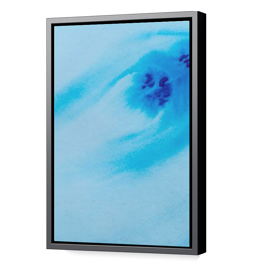 Thumbnail for Canvas - Black Floating Frame