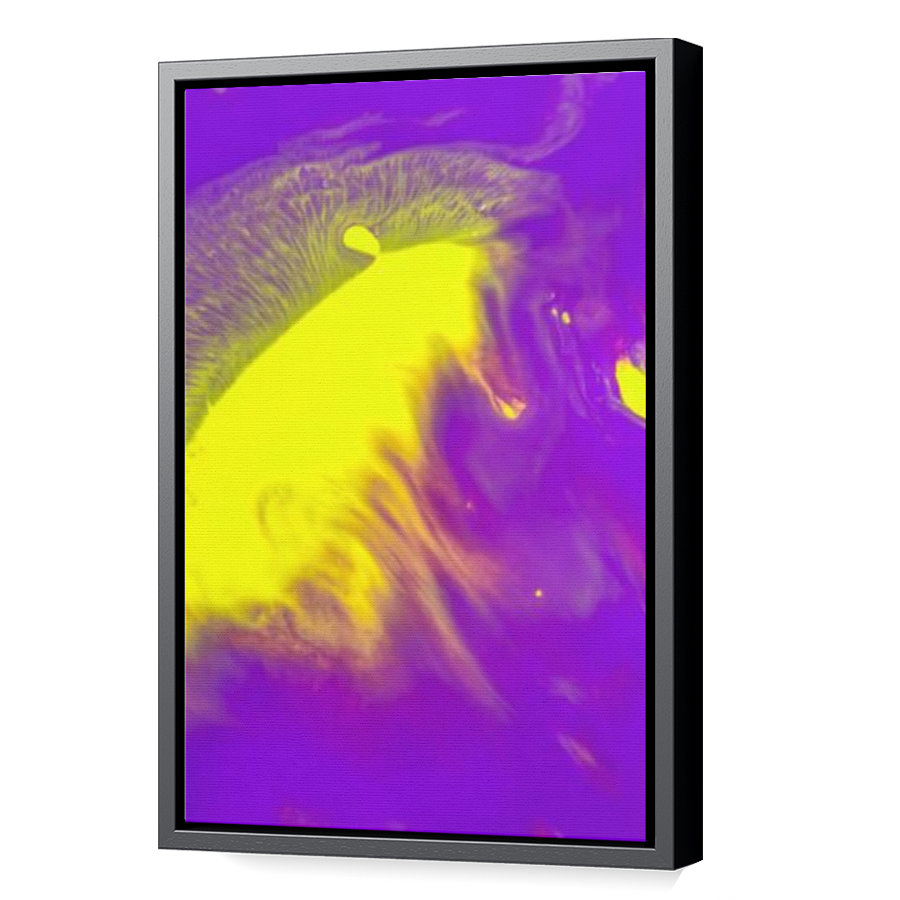 Thumbnail for Canvas - Black Floating Frame