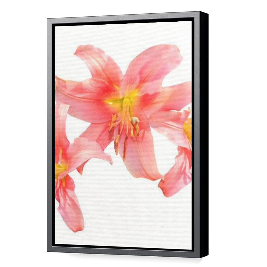 Thumbnail for Canvas - Black Floating Frame
