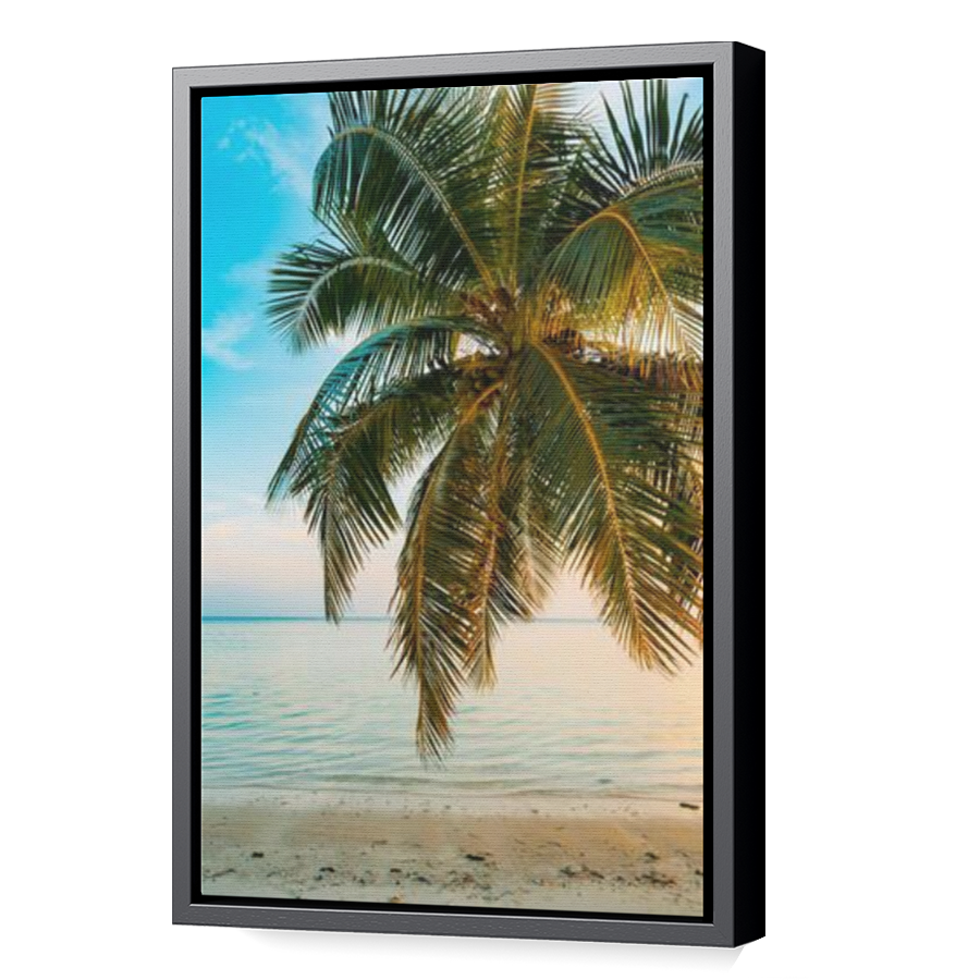 Thumbnail for Canvas - Black Floating Frame